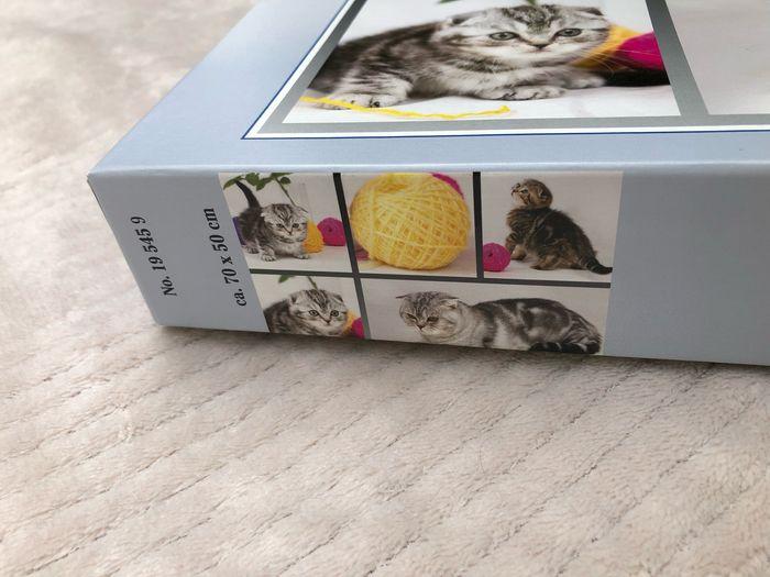 Puzzle - thème chat- 1000 pièces - Ravensburger - photo numéro 2