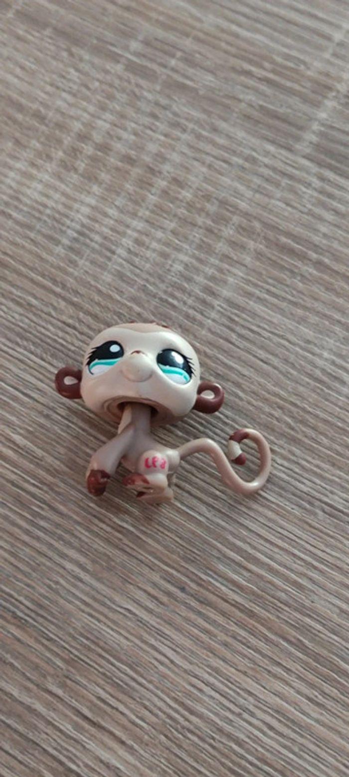 Singe Littlest Pet Shop - photo numéro 2