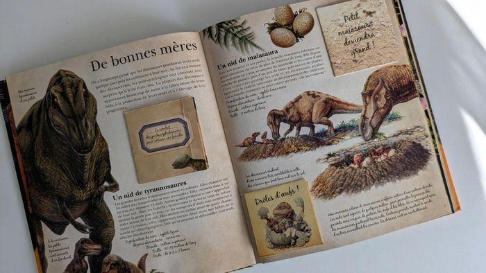 Livre sur les dinosaures - photo numéro 3