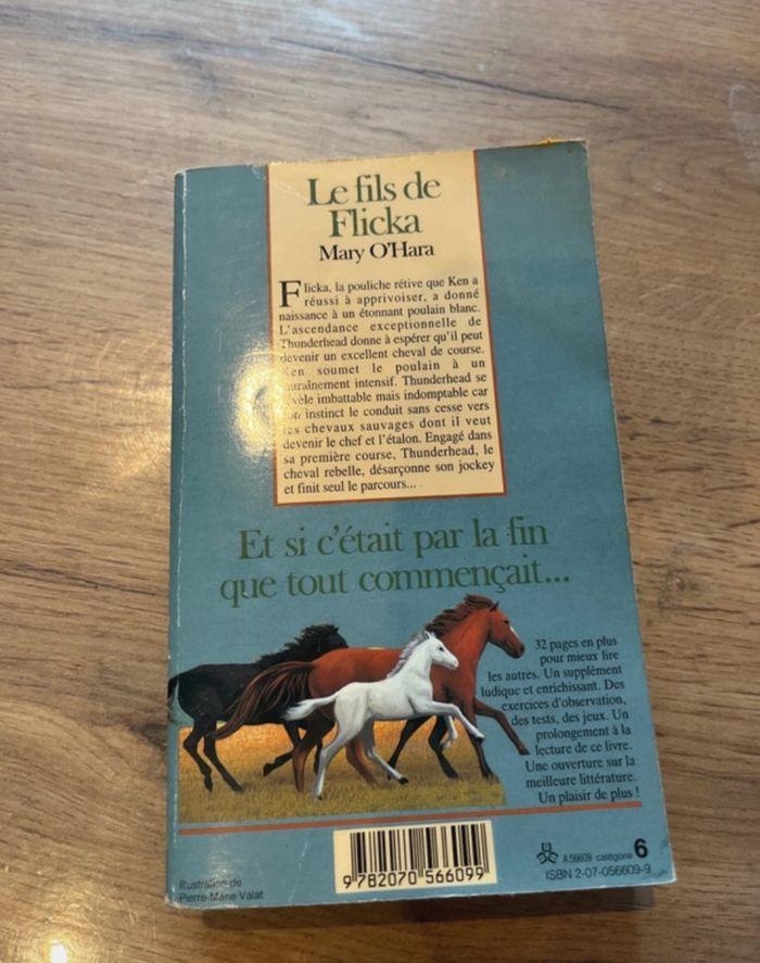 Livre sur les chevaux le fils de Flicka - photo numéro 2