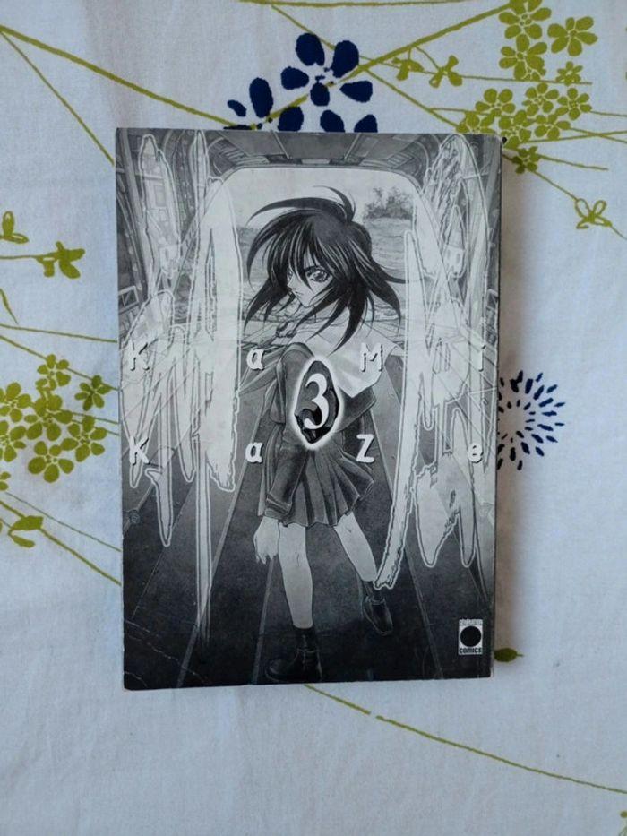 Je vends un lot de 6 mangas Kamikaze (Tomes 1 à 6) de Satoshi Shiki, destiné à un public averti. - photo numéro 6