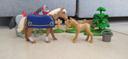 Playmobil Famille de chevaux (4188)