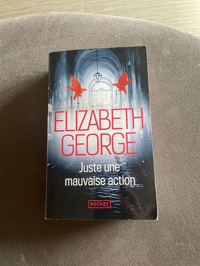 Lots de 3 livres Elizabeth George - photo numéro 7