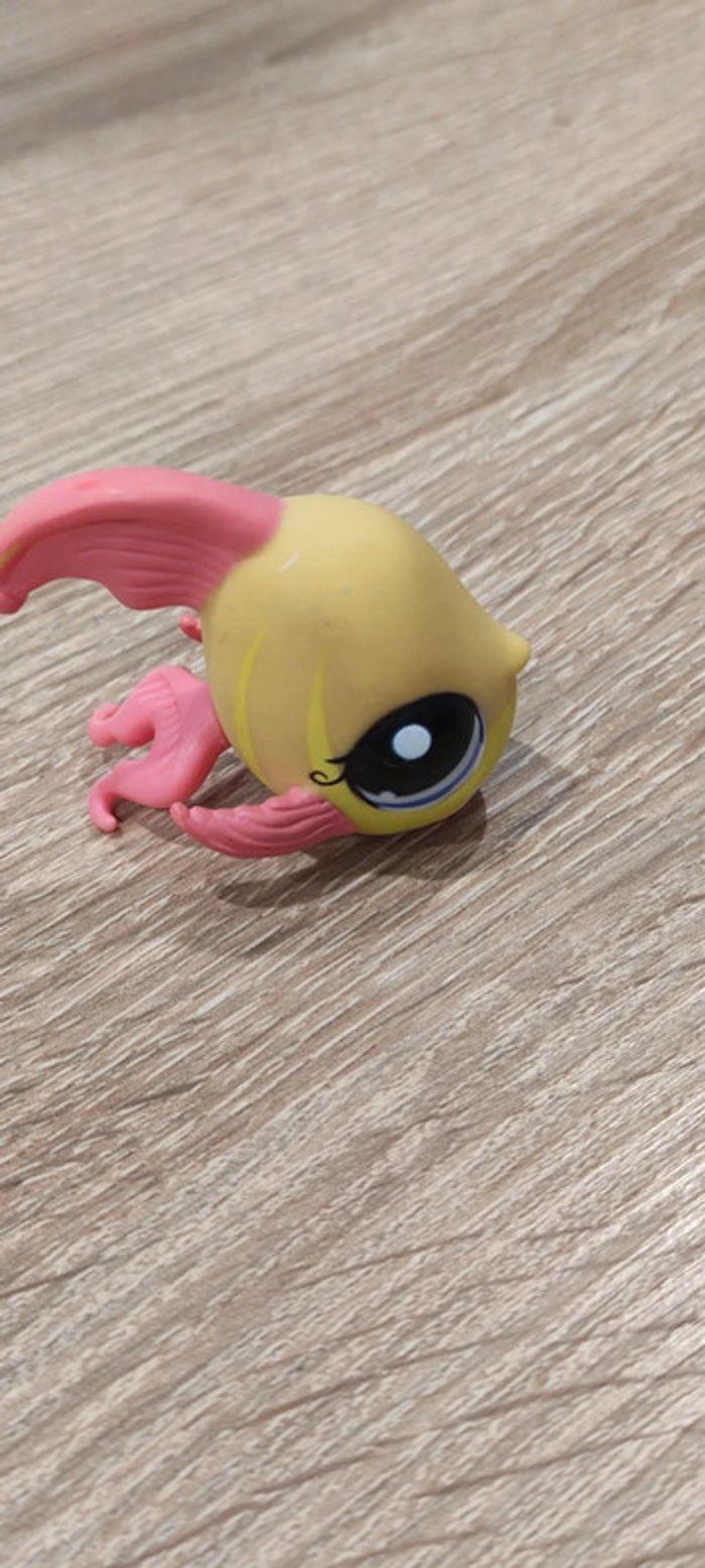 Poisson Littlest Petshop - photo numéro 2