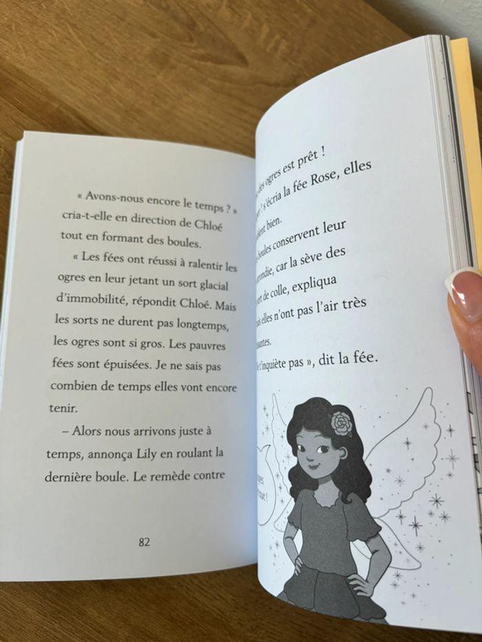 Livre, j’habille mes amies le pique nique des fées. - photo numéro 4