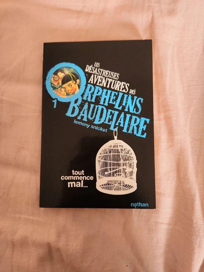 Les Désastreuses aventures des Orphelins Beaudelaire tome 1 - photo numéro 1