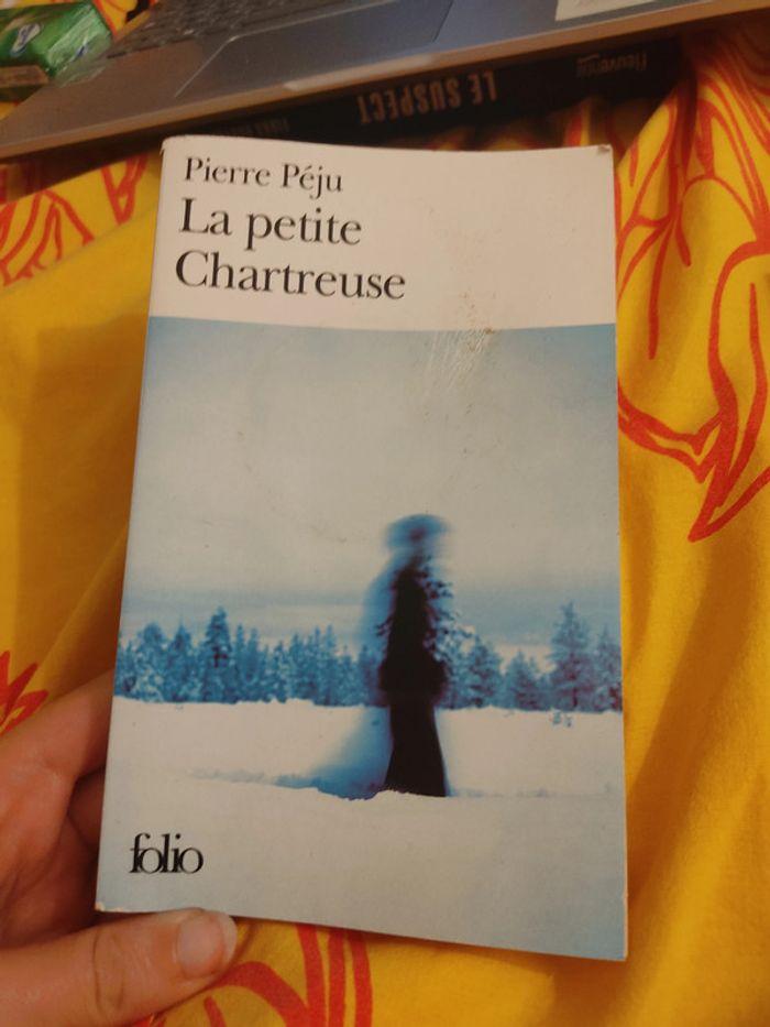 La petite chartreuse - photo numéro 1