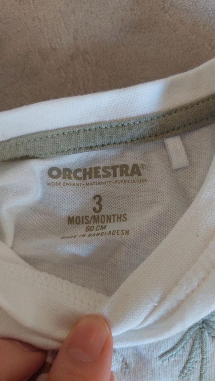 Ensemble t shirt et short orchestra 3 mois - photo numéro 3