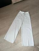 Pantalon costume