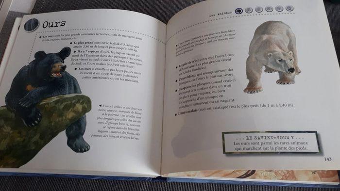 Livre 1000 infos sur les animaux - photo numéro 6