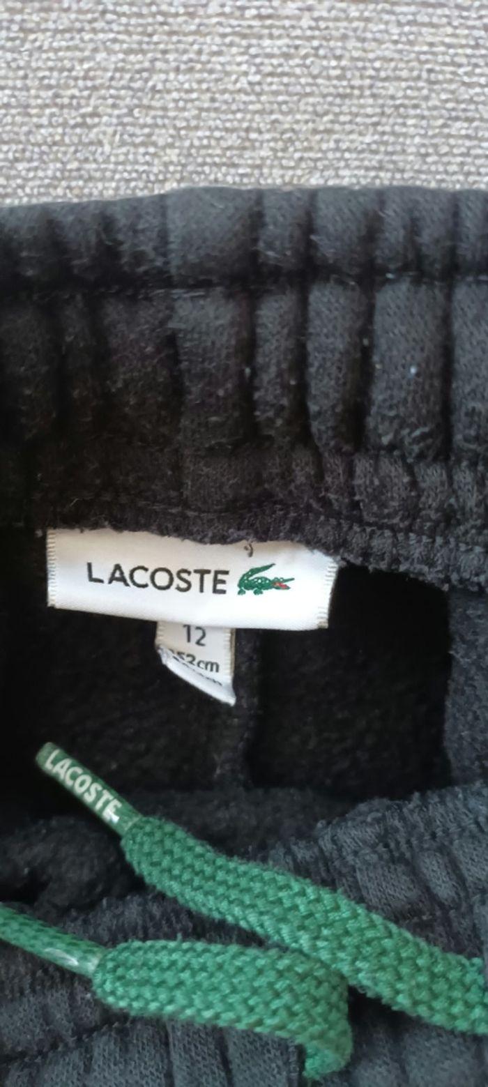 Jogging lacoste - photo numéro 2