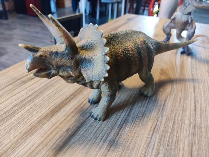 Triceratops collecta - photo numéro 1