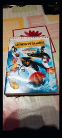 DVD les rois de la glisse