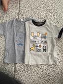 Lot de 2 t-shirt manche courte