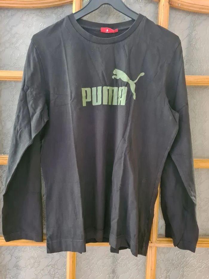 haut puma