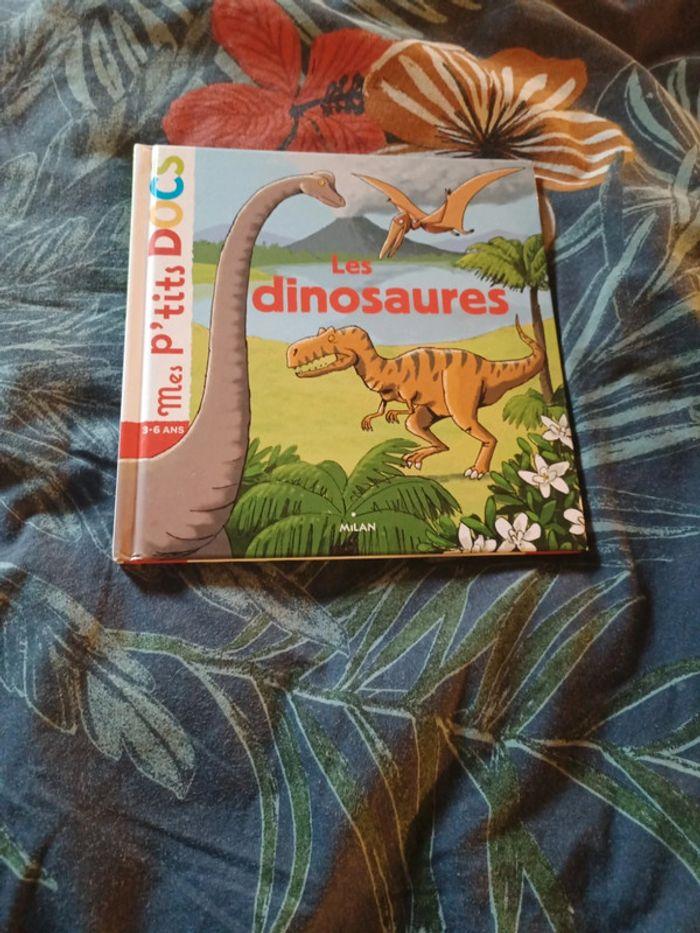 Livre les dinosaures - photo numéro 1