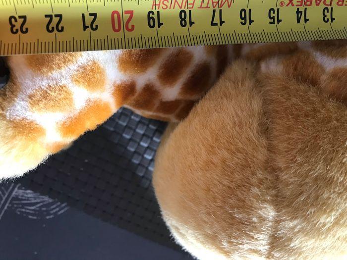 Peluche neuve avec étiquette girafe - photo numéro 3