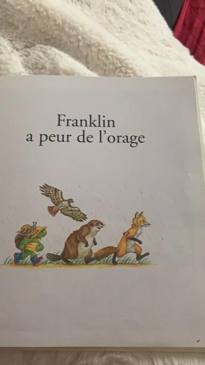 Franklin - photo numéro 4