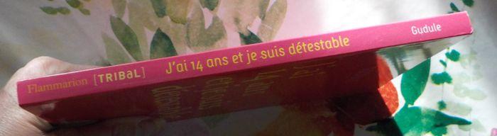 J'AI 14 ANS ET JE SUIS DETESTABLE de GUDULE Ed. Flammarion - photo numéro 4