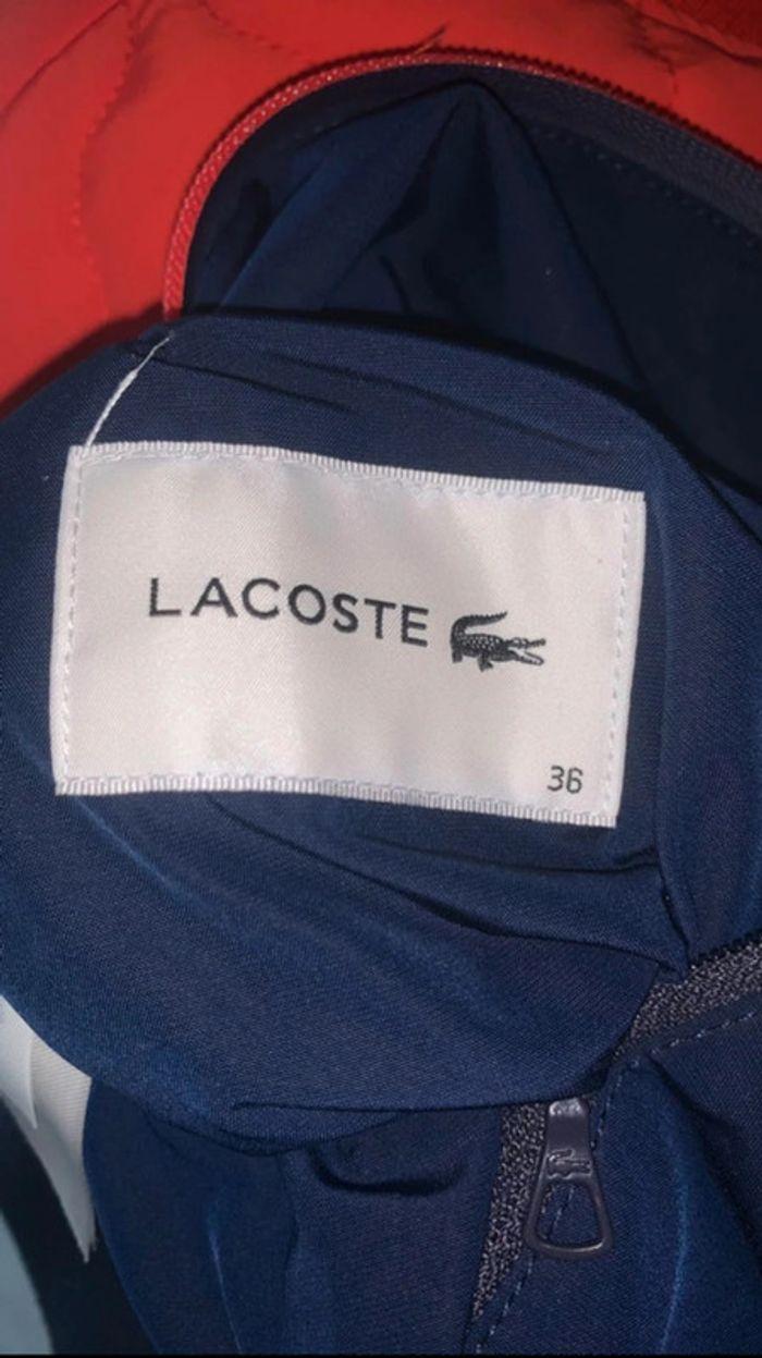 Bombers Lacoste neuf - photo numéro 3