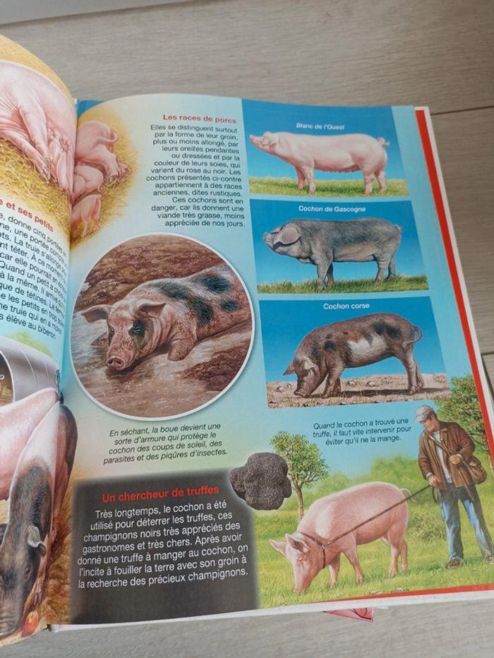 Livre l'imagerie animale : la ferme - photo numéro 5