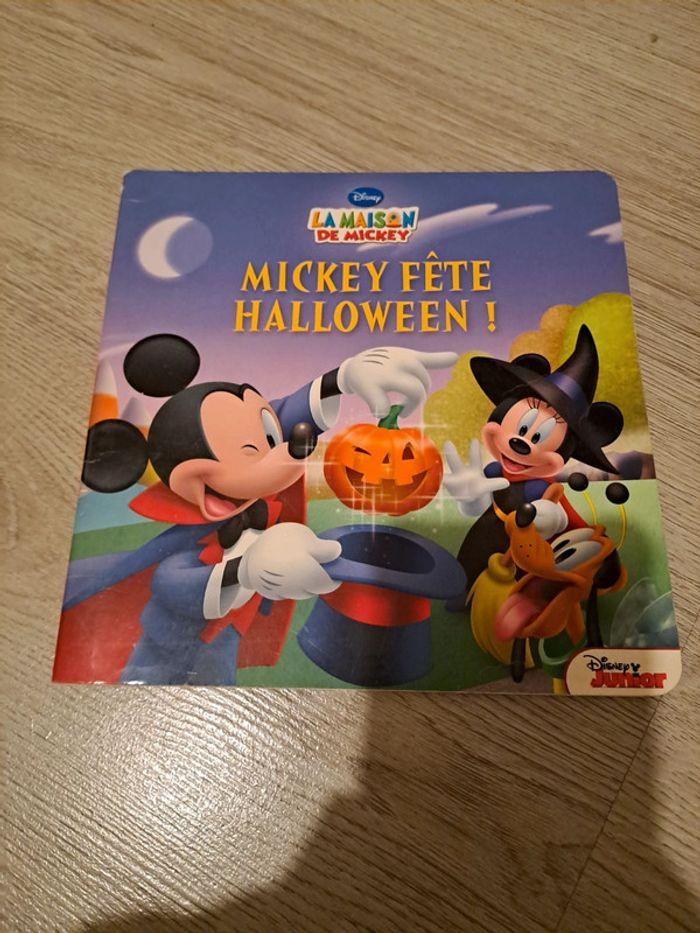 2 livres mickey - photo numéro 1