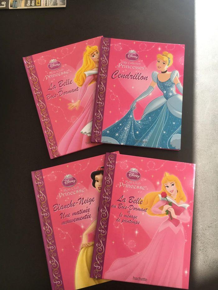 lot de 4 livres princesse - photo numéro 1