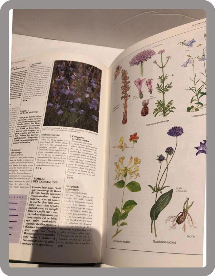 Livre nature Histoire naturelle illustrée de France et D’Europe - photo numéro 7