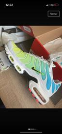 Nike air max plus