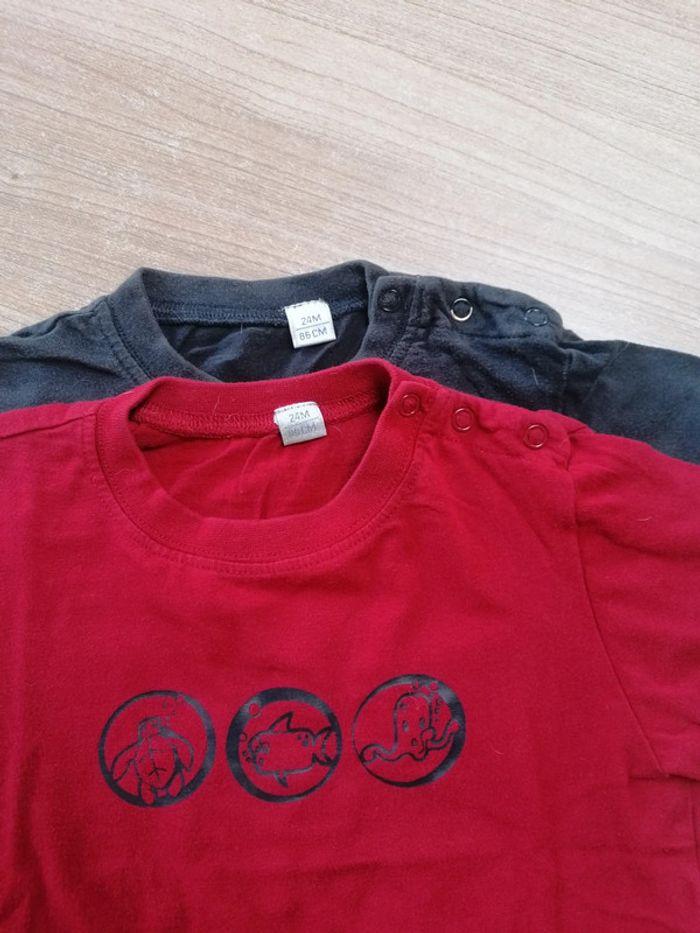 Lot 2 tee shirts 2 ans - photo numéro 3