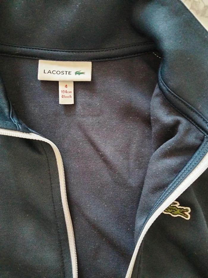 Veste fille Lacoste 4 ans - photo numéro 1