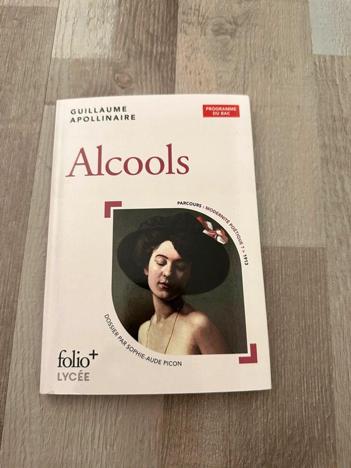 Recueil: Alcools - photo numéro 1