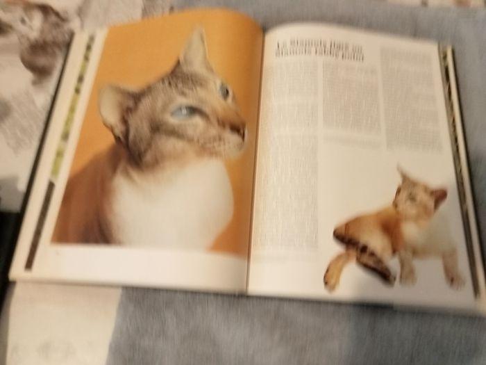 Livre chats - photo numéro 3