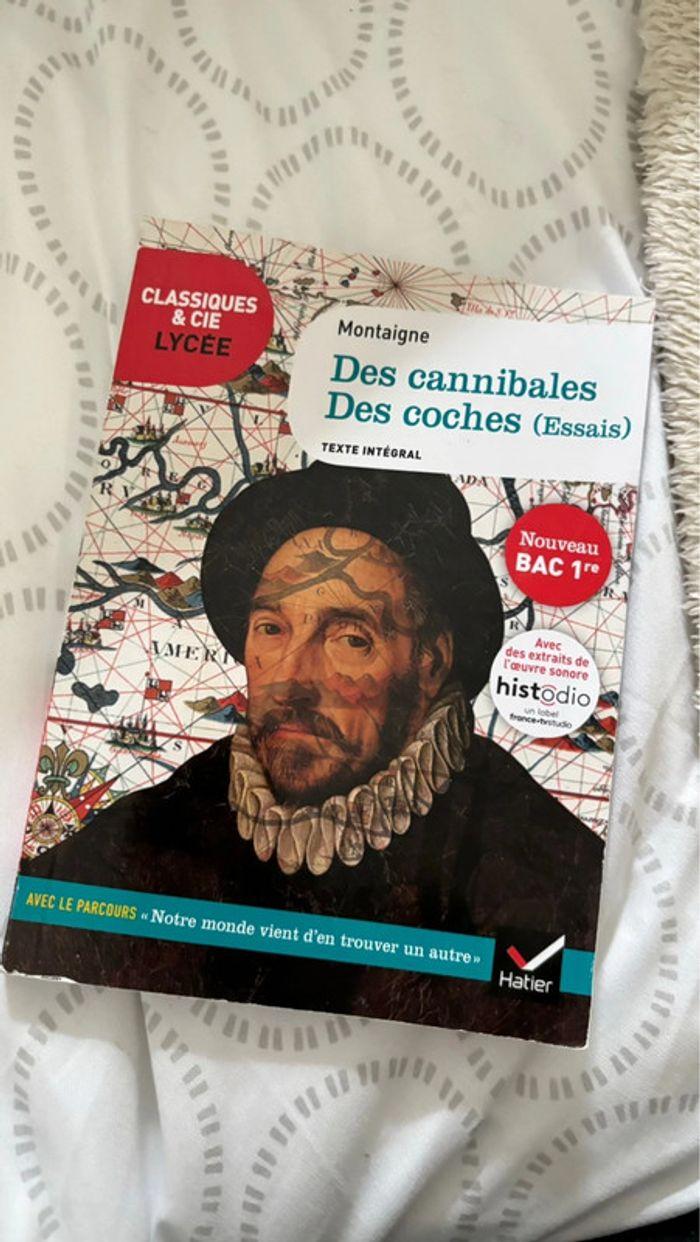 Lot : livre + explications bac - Des cannibales des coches - Montaigne - photo numéro 3