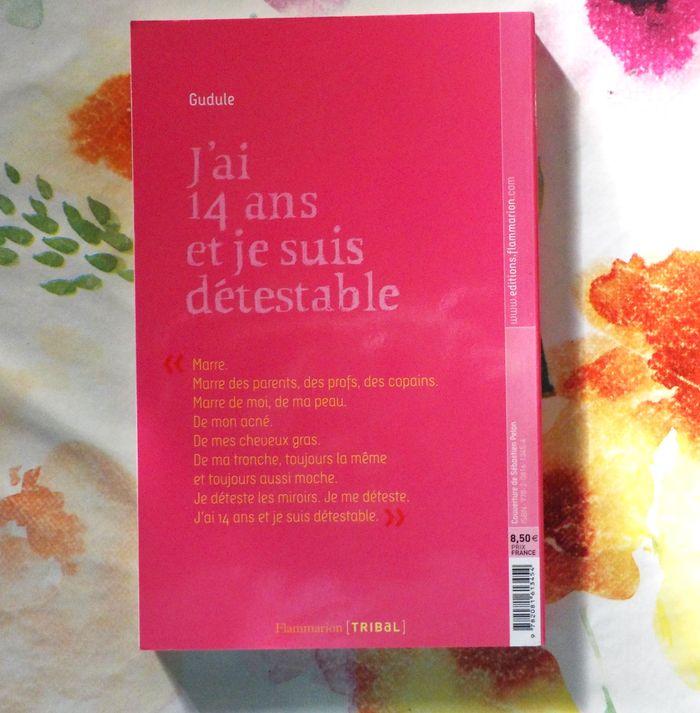 J'AI 14 ANS ET JE SUIS DETESTABLE de GUDULE Ed. Flammarion - photo numéro 3