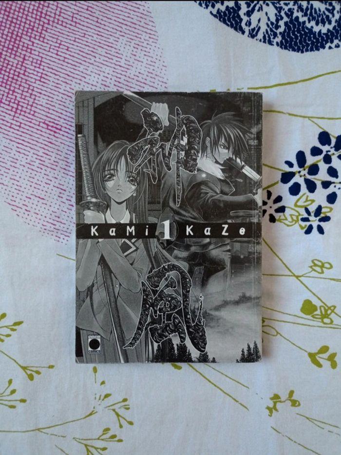 Je vends un lot de 6 mangas Kamikaze (Tomes 1 à 6) de Satoshi Shiki, destiné à un public averti. - photo numéro 2