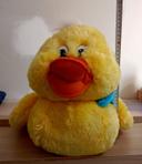 Poussin canard en peluche neuf