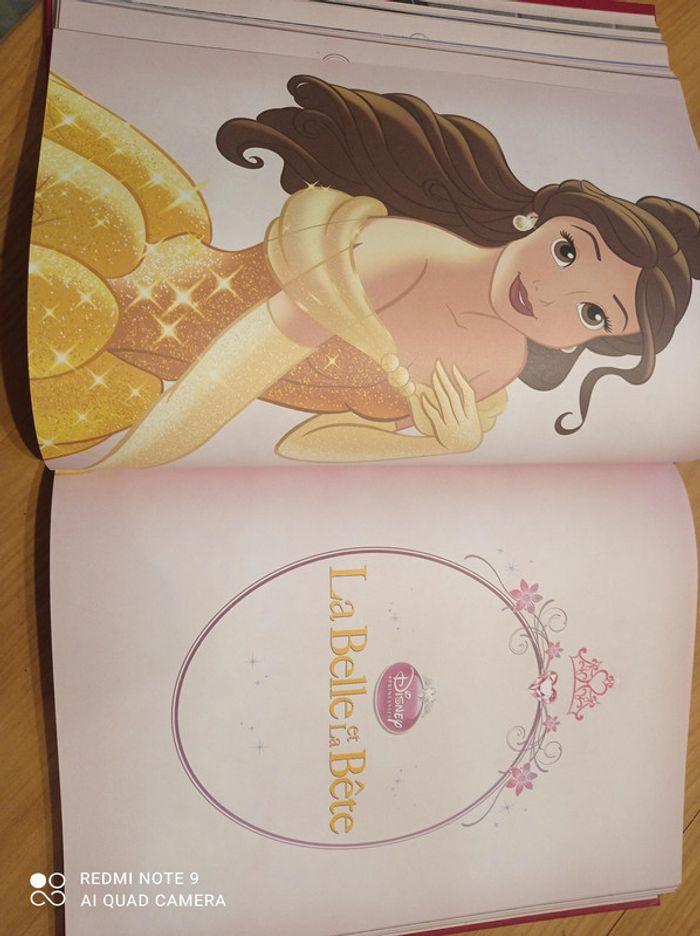 Livre princesses disney - photo numéro 7