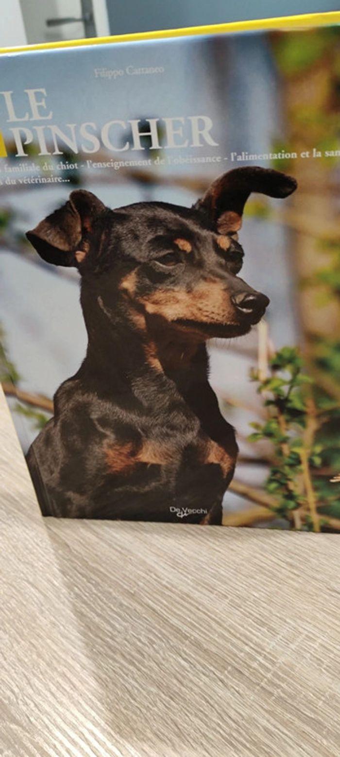 Le Pinscher - photo numéro 2