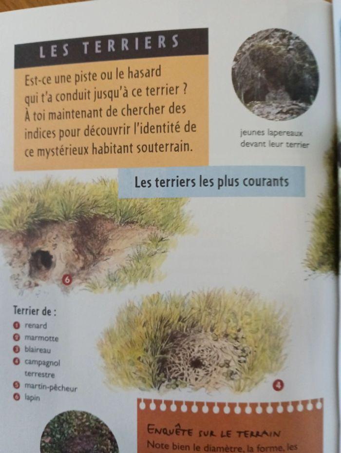 Carnet du jeune Robinson sur les traces des animaux Nathan - photo numéro 10