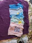 Lot de 5 tee shirts