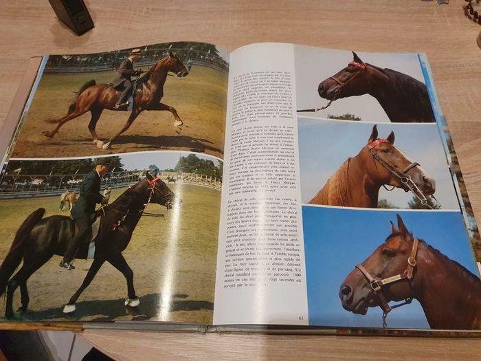 Livre Passion des chevaux - photo numéro 4