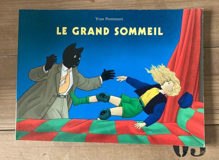 Livre Le grand sommeil