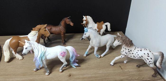 5 Chevaux & 1 Licorne - photo numéro 1