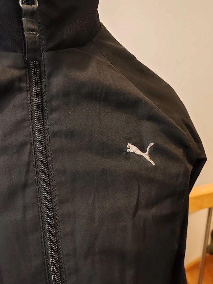 Veste puma - photo numéro 3