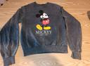 Sweat Mickey