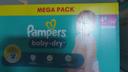 Couches Pampers