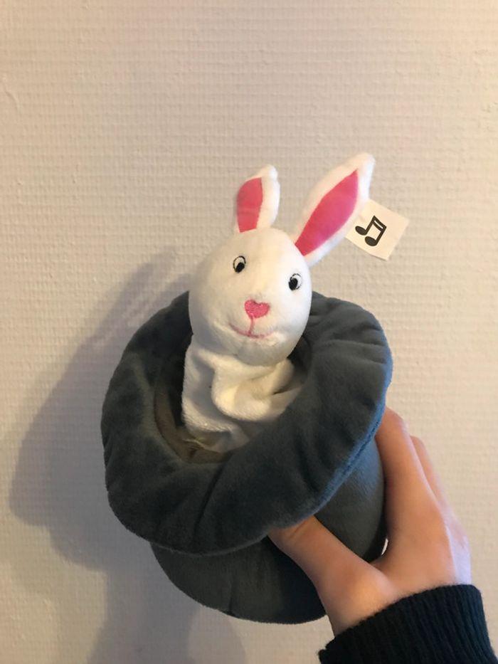 Lapin dans son chapeau Magicien - photo numéro 3