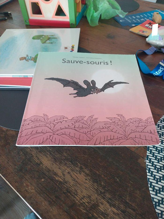 Sauve souris - photo numéro 1