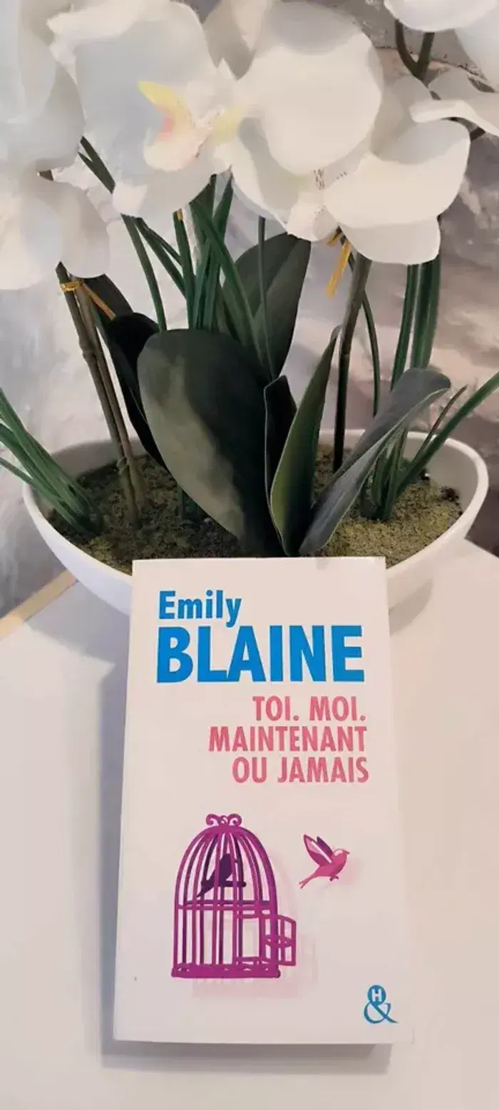 livre Toi - Moi - Maintenant Ou Jamais - Blaine Emily en tres bon etat - photo numéro 1